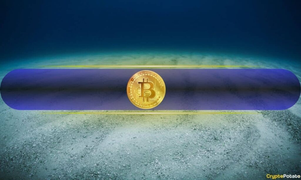 Bitcoin’s February Dip to K Marked Cycle Low